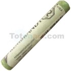  Fine art shop - Pastel Rembrandt Permanent Light Green 3 | totenart.com
