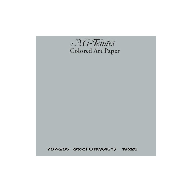  Fine art shop - Mi-teintes Canson Gray Chine, 160 gr., 50x65 cm. | totenart.com