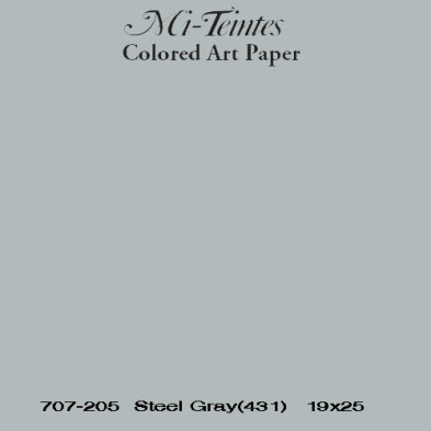  Fine art shop - Mi-teintes Canson Gray Chine, 160 gr., 50x65 cm. | totenart.com