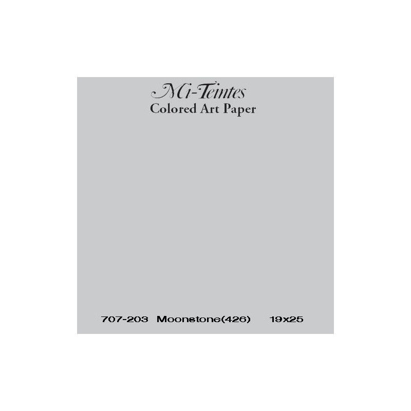  Fine art shop - Mi-teintes Canson Light gray, 160 gr., 50x65 cm. | totenart.com