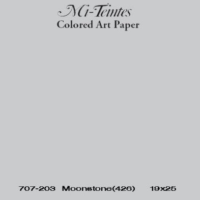  Fine art shop - Mi-teintes Canson Light gray, 160 gr., 50x65 cm. | totenart.com