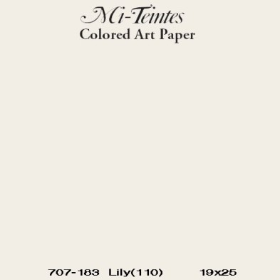 Fine art shop - Mi-teintes Canson Lily, 160 gr., 50x65 cm. | totenart.com