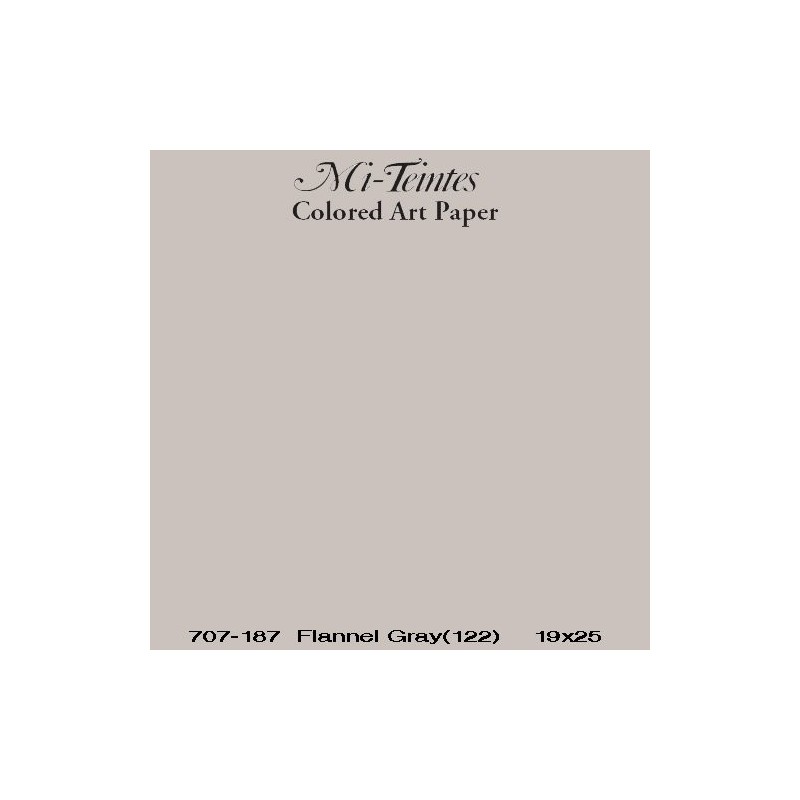  Fine art shop - Mi-teintes Canson Flannel Gray, 160 gr., 50x65 cm. | totenart.com