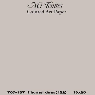  Fine art shop - Mi-teintes Canson Flannel Gray, 160 gr., 50x65 cm. | totenart.com