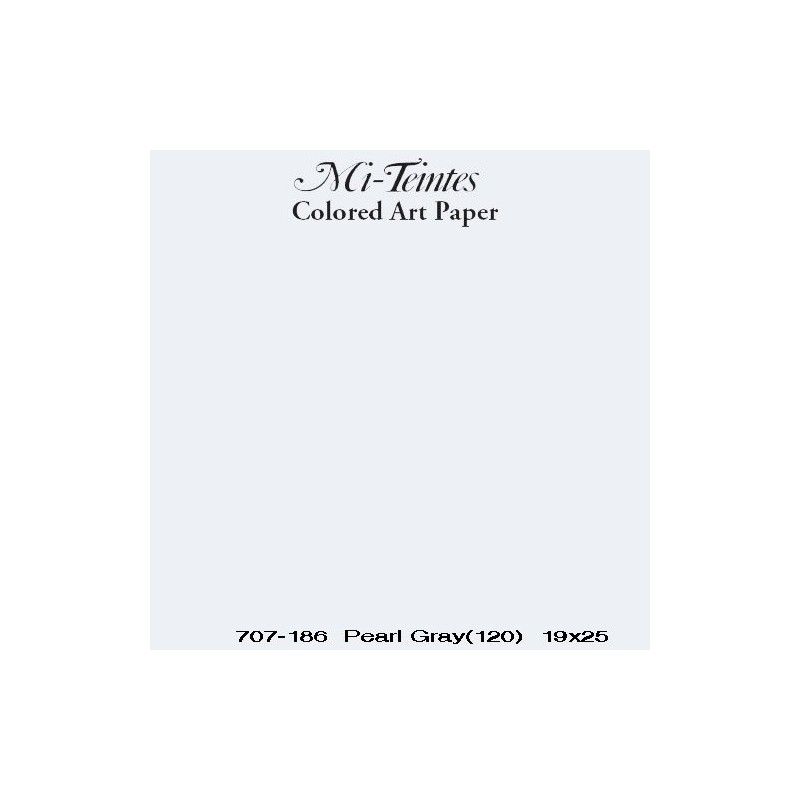  Fine art shop - Mi-teintes Canson Pearl Gray, 160 gr., 50x65 cm. | totenart.com