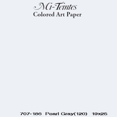  Fine art shop - Mi-teintes Canson Pearl Gray, 160 gr., 50x65 cm. | totenart.com
