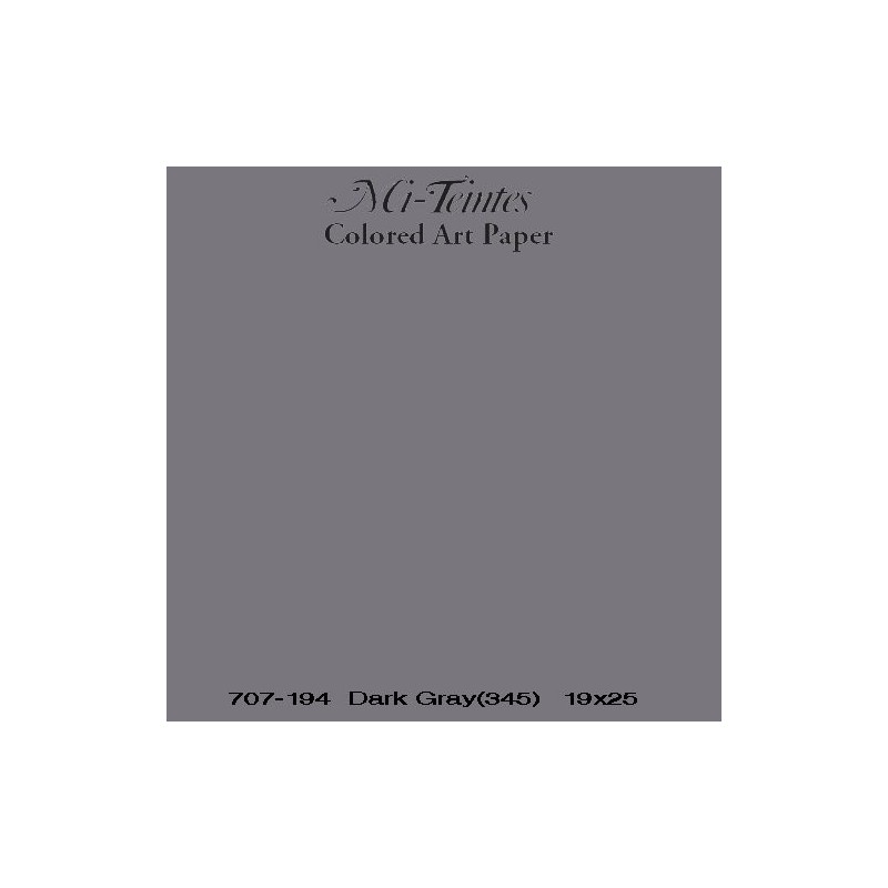  Fine art shop - Mi-teintes Canson Dark Gray, 160 gr., 50x65 cm. | totenart.com