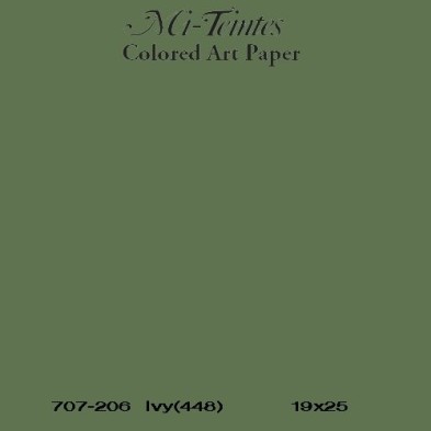  Fine art shop - Mi-teintes Canson Ivy, 160 gr., 50x65 cm. | totenart.com