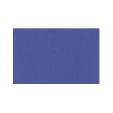 Binding Canvas 158 Electric Blue, 1m.