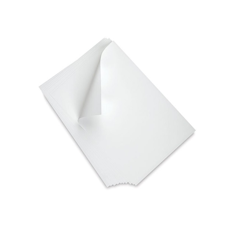 Fine art shop - Lithography Polyester Plate, 21x28 cm.  | totenart.com