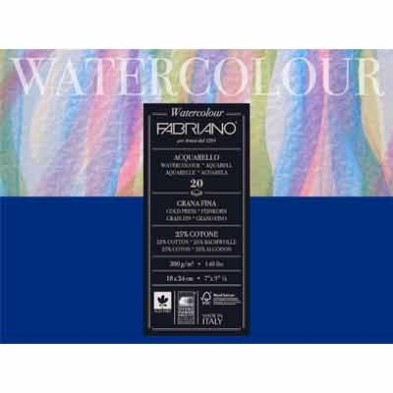  Fine art shop - Fabriano Watercolour 300 gr, 13.5x21 cm, Cold Pressed, block 12  | totenart.com