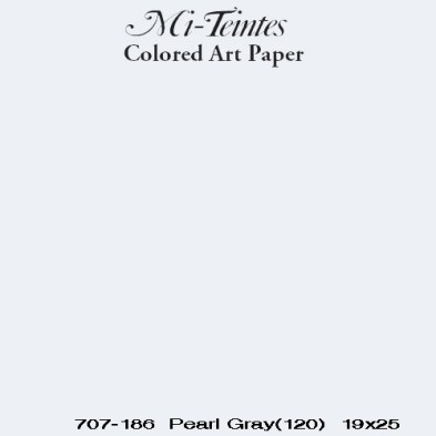  Fine art shop - Mi-teintes Canson Pearl Gray, 160 gr., 21x30 cm. | totenart.com