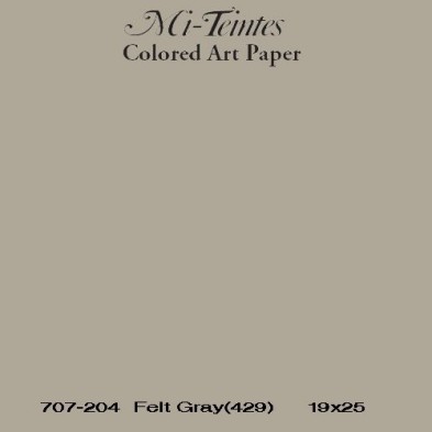  Fine art shop - Mi-teintes Canson Moonstone, 160 gr., 21X30 cm. | totenart.com