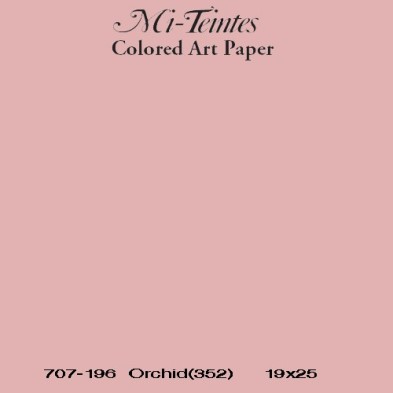  Fine art shop - Mi-teintes Canson Dark Pink, 160 gr., 21X30 cm. | totenart.com