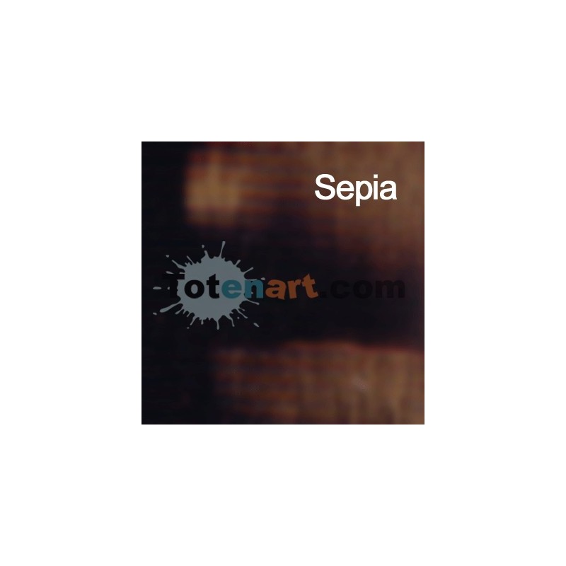 Fine art shop - Oil Titan Extra Fine, Sepia, 60 ml. | totenart.com