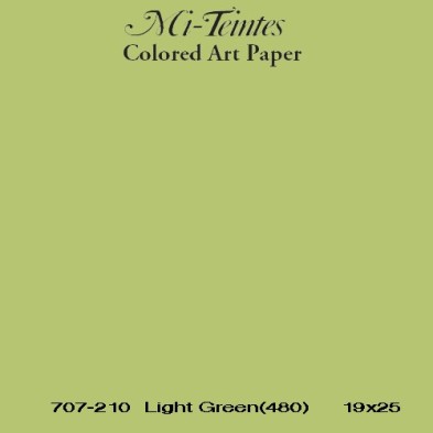  Fine art shop - Mi-teintes Canson Almond Green, 160 gr., 21X30 cm. | totenart.com