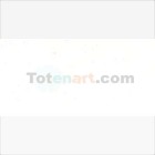 Fine art shop - Van Gogh Oil Cinc White, 60 ml. | totenart.com