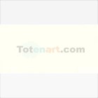 Fine art shop - Van Gogh Oil Titanium White, 60 ml. | totenart.com