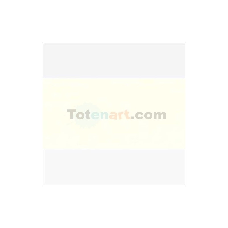 Fine art shop - Van Gogh Oil Titanium White (Linseed), 60 ml. | totenart.com