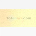 Fine art shop - Van Gogh Oil Naples Yellow Red, 60 ml. | totenart.com