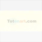 Fine art shop - Van Gogh Oil Titanium White (Linseed), 200 ml. | totenart.com