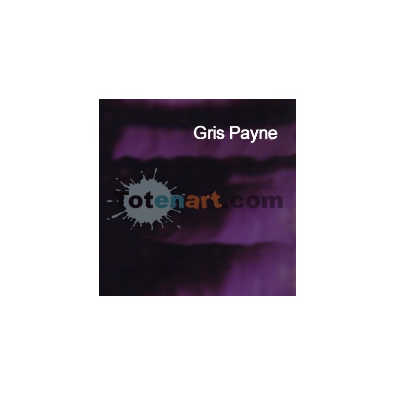 Fine art shop - Oil Titan Extra Fine, Paynes Gray, 200 | totenart.com