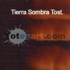 Fine art shop - Oil Titan Goya, Burnt Umber, 60 ml. | totenart.com