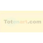 Tombow Marker Peach dual brush pen 