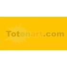 Tombow Marker Light Orange dual brush pen 