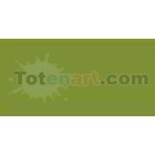 Tombow Marker Dark Olive dual brush pen 