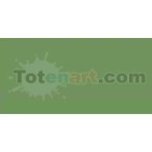 Tombow Marker Aspargus dual brush pen 