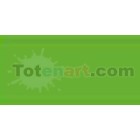 Tombow Marker Light Green dual brush pen 