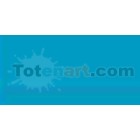 Tombow Marker Turquoise dual brush pen 