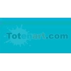 Tombow Marker Process Blue dual brush pen 