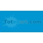 Tombow Marker Cyan dual brush pen 