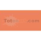 Tombow Marker Coral dual brush pen 