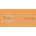 Tombow Marker Pale Cherry dual brush pen 