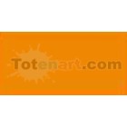 Tombow Marker Gold Ochre dual brush pen 