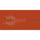 Tombow Marker Burnt Sienna dual brush pen 