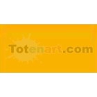 Tombow Marker Chrome Orange dual brush pen 