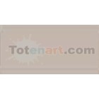 Tombow Marker Warm Gray 2 dual brush pen 