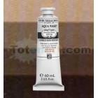 Charbonnel Aqua Wash Etching Inks, Basic Bistre, 60 ml.
