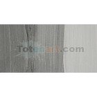 Fine art shop - Oil Artists Winsor & Newton, Pewter, 37 ml. | totenart.com