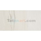 Fine art shop - Oil Artists Winsor & Newton, Iridiscent White, 37 ml. | totenart.com