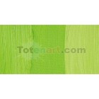 Fine art shop - Oil Artists Winsor & Newton, Pale Cadmium Green, 37 ml. | totenart.com