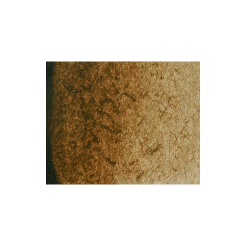 Fine art shop - Artist Watercolor Burnt Umber 5 ml, W N 076 | totenart.com