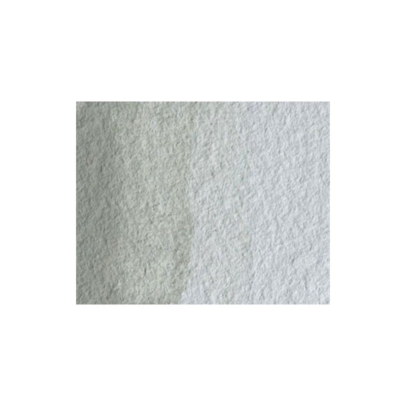 Fine art shop - Artist Watercolor Davy Gray 5 ml, W N 217 | totenart.com