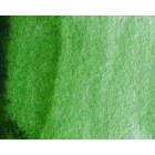 Fine art shop - Artist Watercolor Hooker Green 5 ml, W N 311 | totenart.com