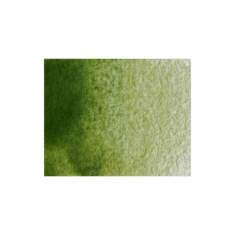 Fine art shop - Artist Watercolor Olive Green 5 ml, W N 447 | totenart.com