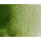 Fine art shop - Artist Watercolor Olive Green 5 ml, W N 447 | totenart.com